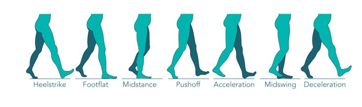 Gait phases