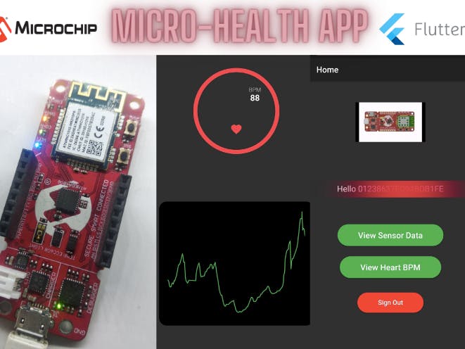 Micro-Health App