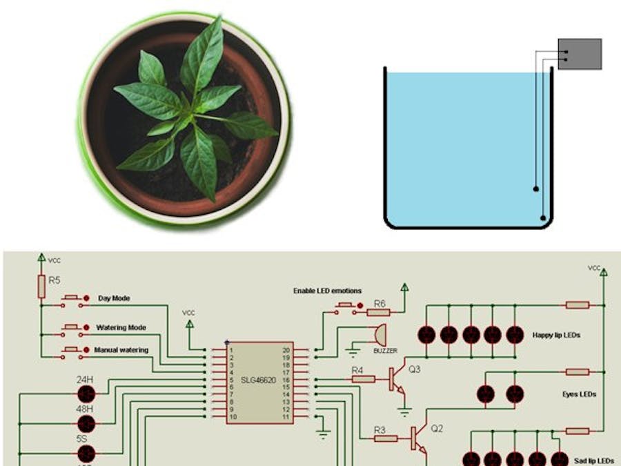 How to Make an Automatic Watering System