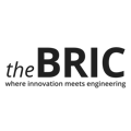 the BRIC