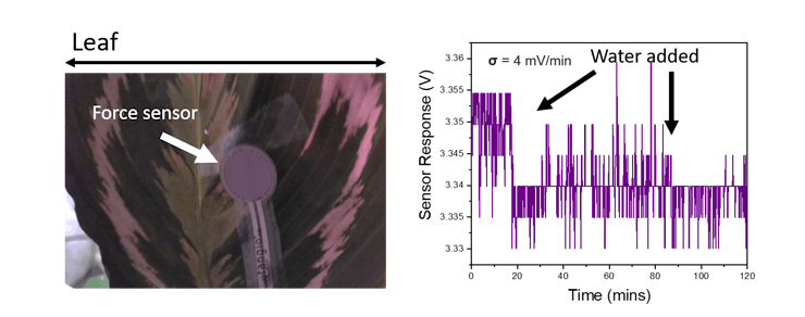 Device setup, and plot obtained after the monitoring of the force using an arduino microcontroller.