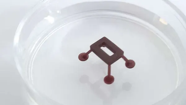 Thermobots Walk on Water Thanks to Laser Manipulation - Hackster.io