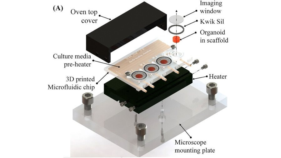 3D-Printed Microfluidic Bioreactor Proves Its Worth for Growing Tiny -