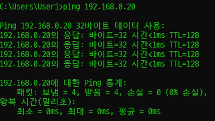 ping command