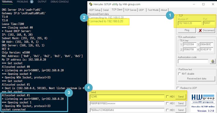 TCP Echo Demo result
