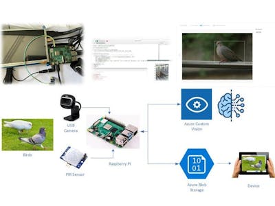 Bird Detector Based on Microsoft Azure and Raspberry Pi