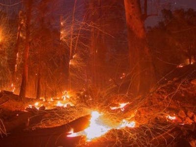 Forest Fire Detection