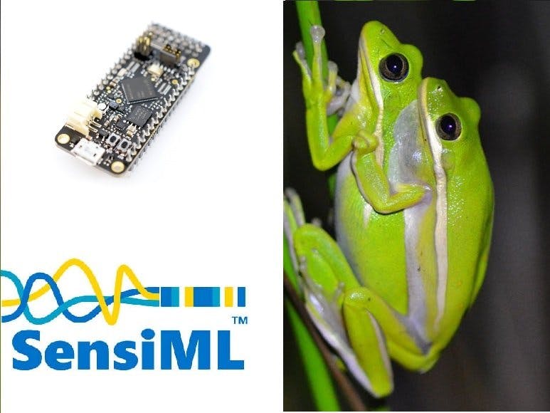 Frog Bioacoustic for climate change