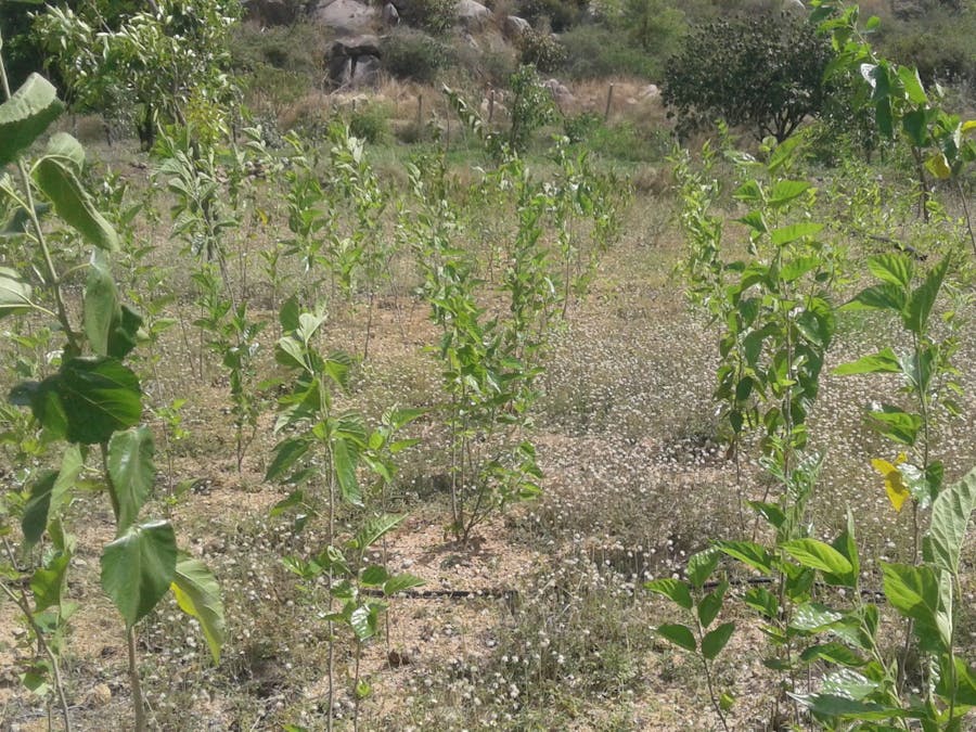 Environment monitoring device for prediction of climate.