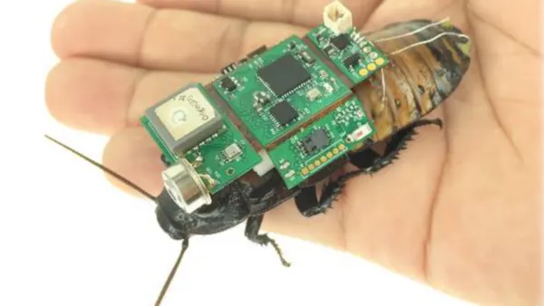Remote Control Cockroach - Hackster.io