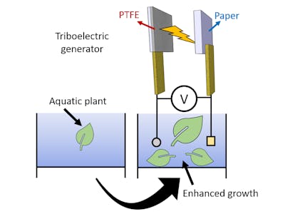 Can triboelectricity enhance plant growth?