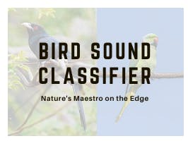 Bird Sound Classifier on the Edge
