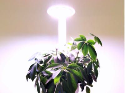 DIY Smart Indoor Garden Lite