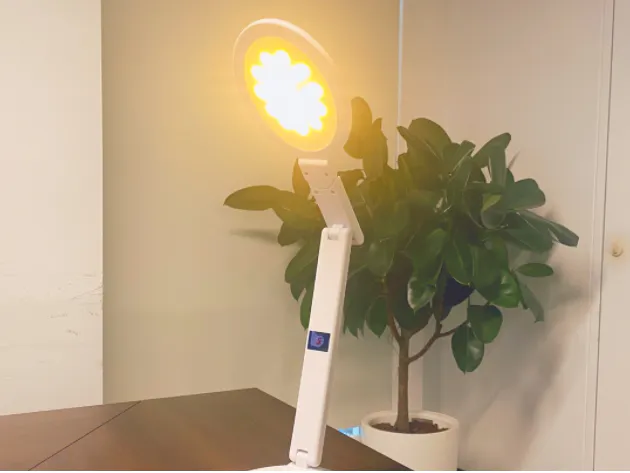 Empower Desk Lamp with Smart