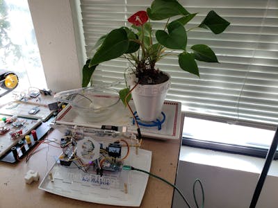 House Plant Watering System