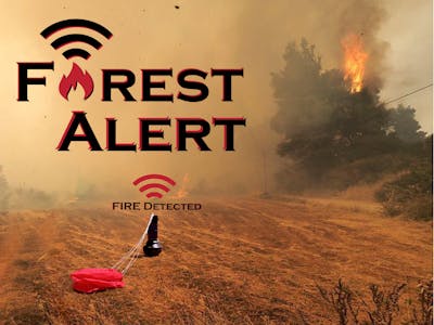 Early Forest Fire Detection System