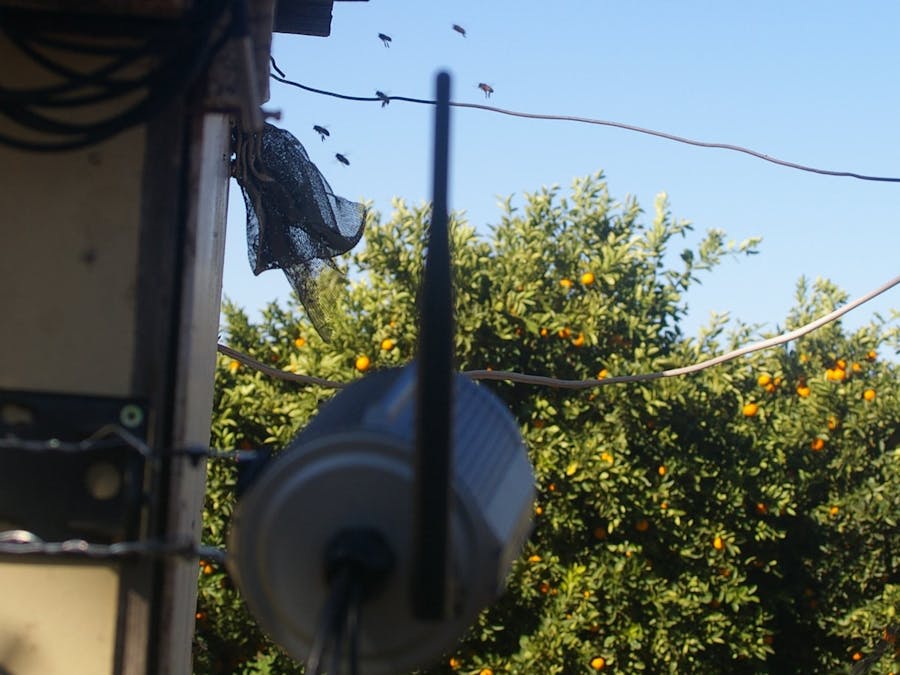 Two Bee's or No Two Bee's what is the temperature?