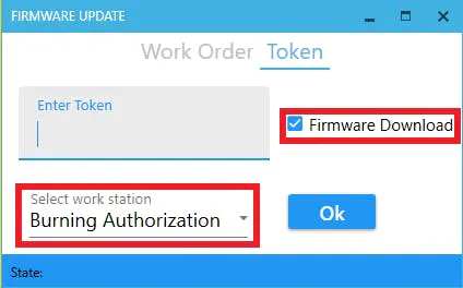 Input Token in TYDA