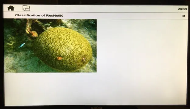 Segmentation result