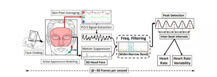 rPPG Algorithm (courtesy: https://www.noldus.com/blog/what-is-rppg)