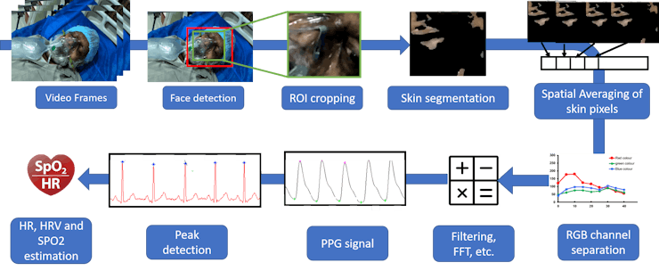r-PPG algorithm