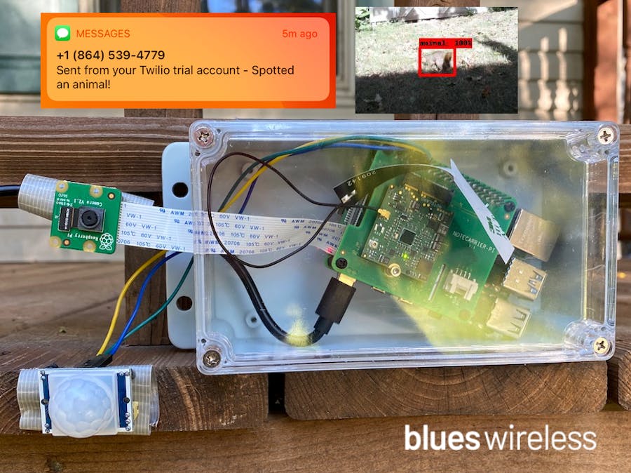 What’s Destroying My Yard? Pest Detection With Raspberry Pi