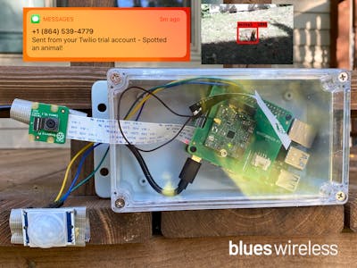 What’s Destroying My Yard? Pest Detection With Raspberry Pi