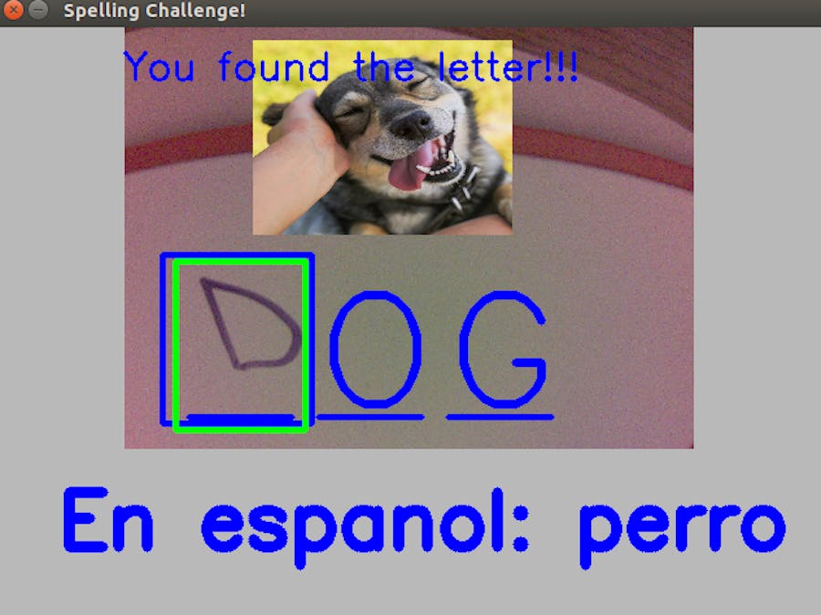 Spelling Challenge for Kids!