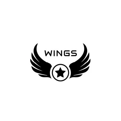 Hackster profile picture for @wings