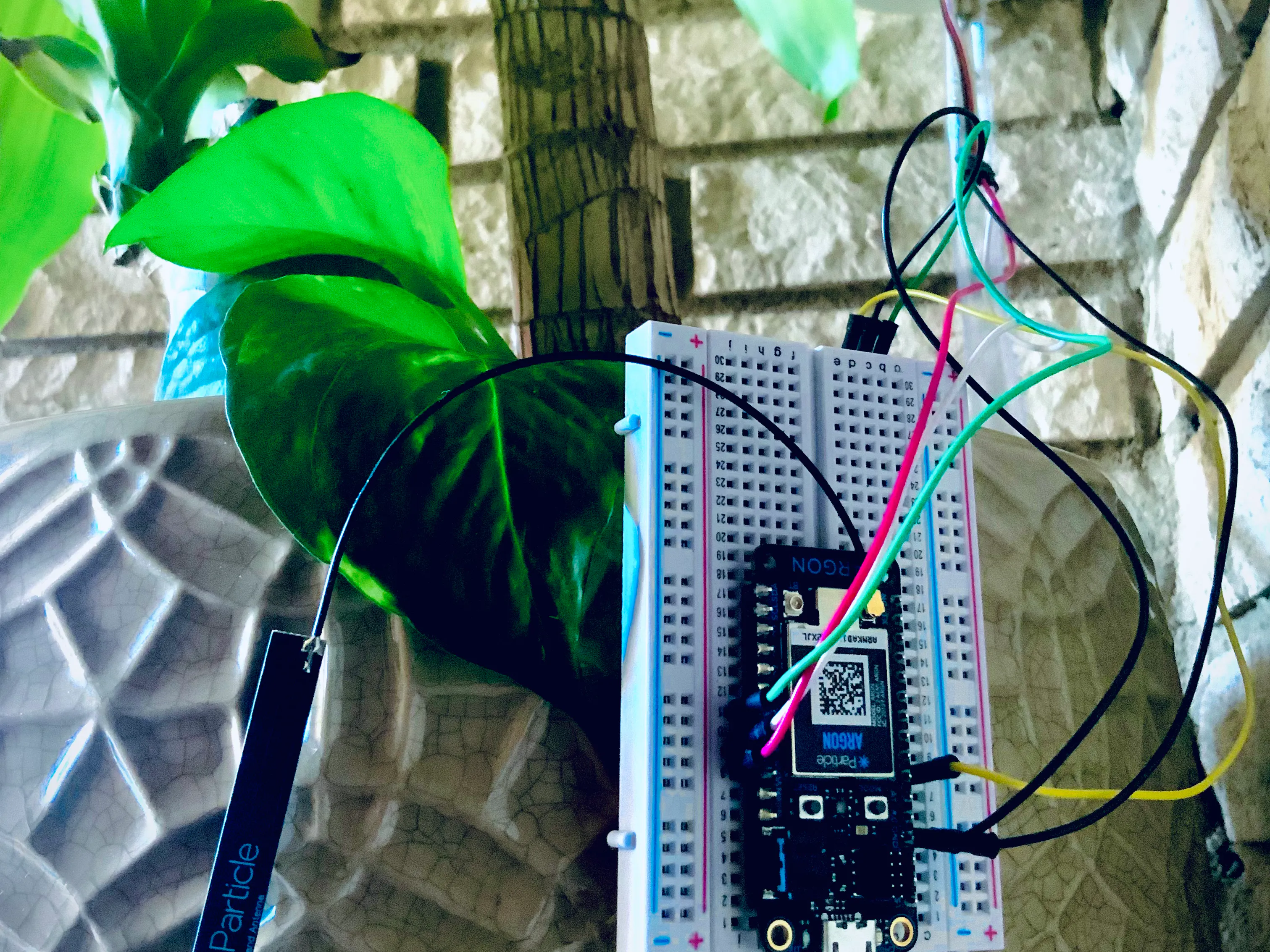 MEGR 3171 Automatic Houseplant Monitor Hackster.io
