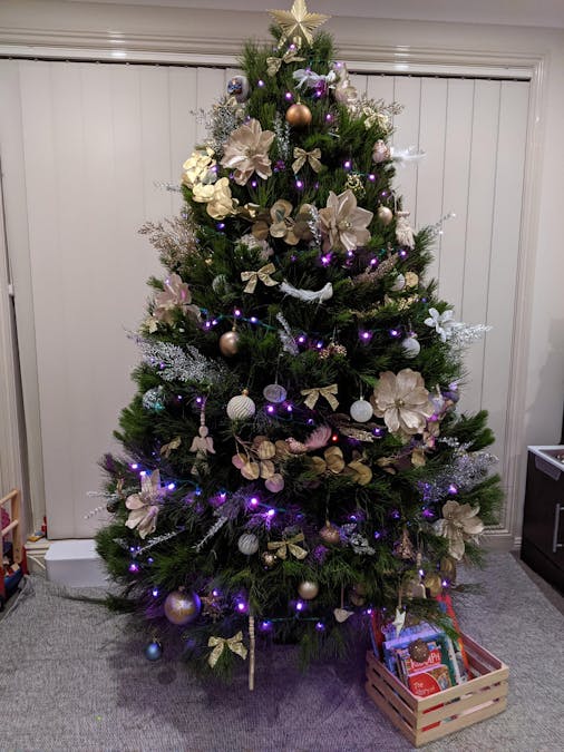 Christmas Tree Lights Controlled by a Raspberry Pi