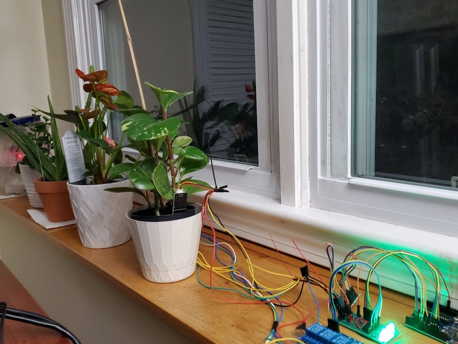 Indoor Plant Watering