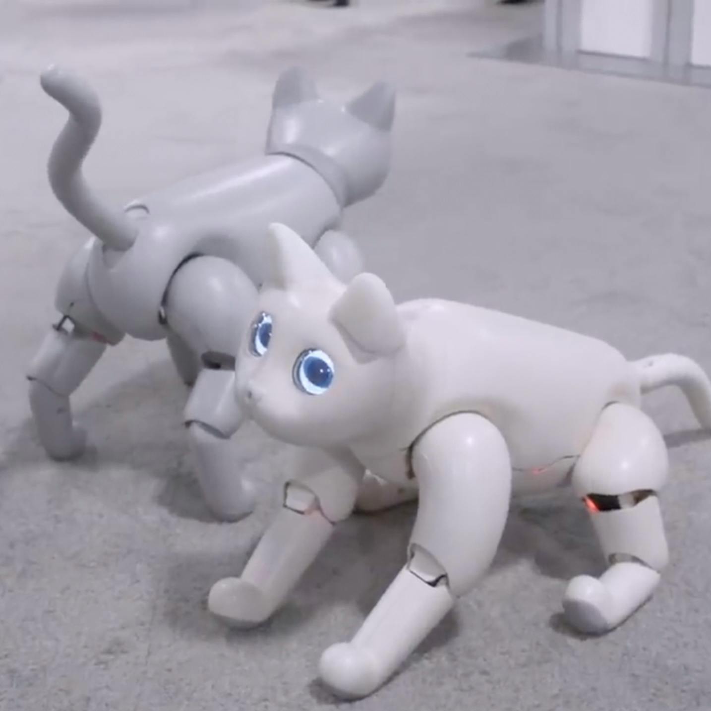 MarsCat - The AI Cat Born From Raspberry Pi – Elephant Robotics