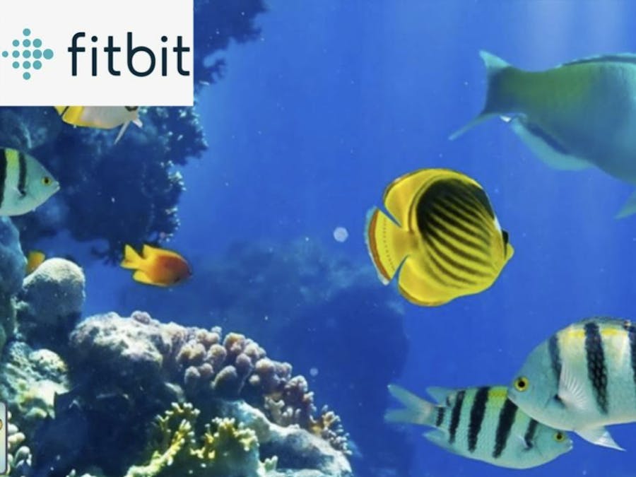 Improving work efficiency with Fitbit - #cloudgames