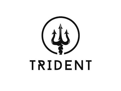 TRIDENT: A Hardware Implemented Poseidon Hasher