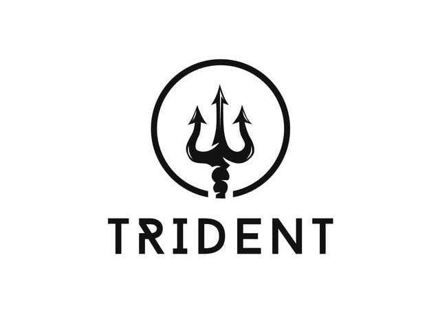 TRIDENT: A Hardware Implemented Poseidon Hasher