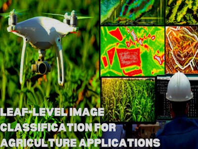 Leaf-level Image classification for Agriculture Applications