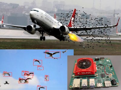 Preventing Bird Strike at Airport with KRIA KV260
