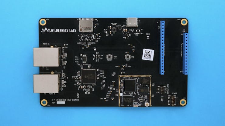 The $100 developer's kit includes a single module plus a carrier board for ease of access to features. (📷: Wilderness Labs)