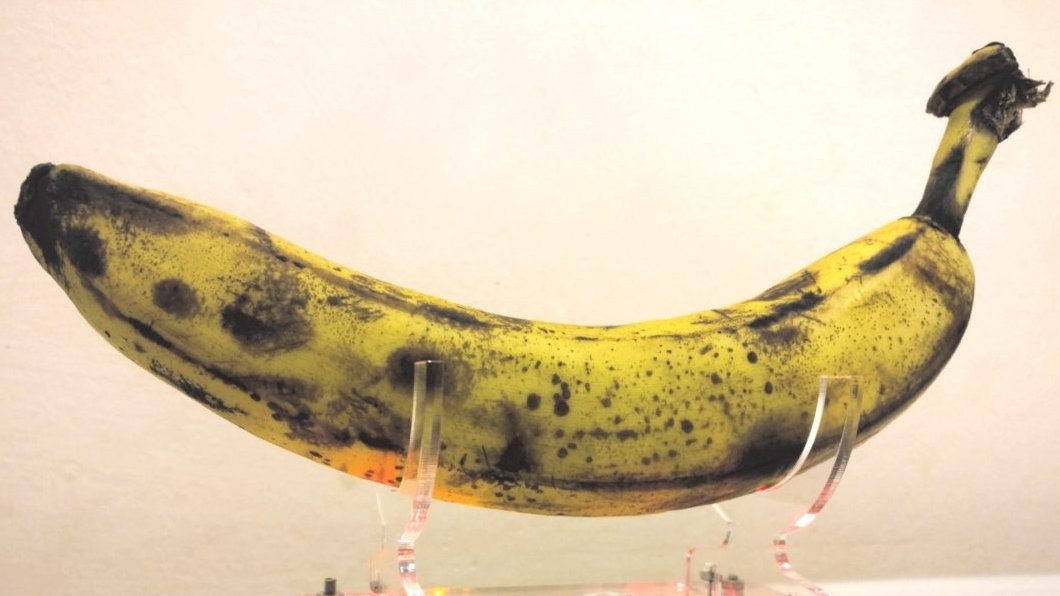 The Just Bananas Method for Generating True Random Numbers