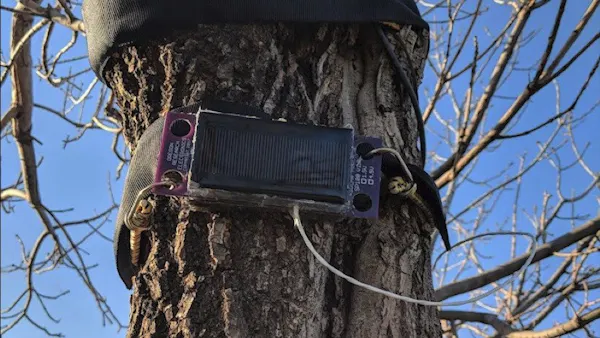 These Trunk-Wearable 