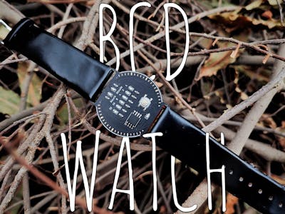 BCD Watch (binary coded decimal)