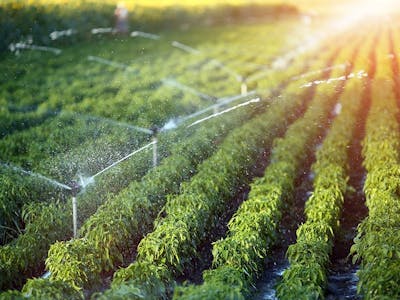 Irrigation