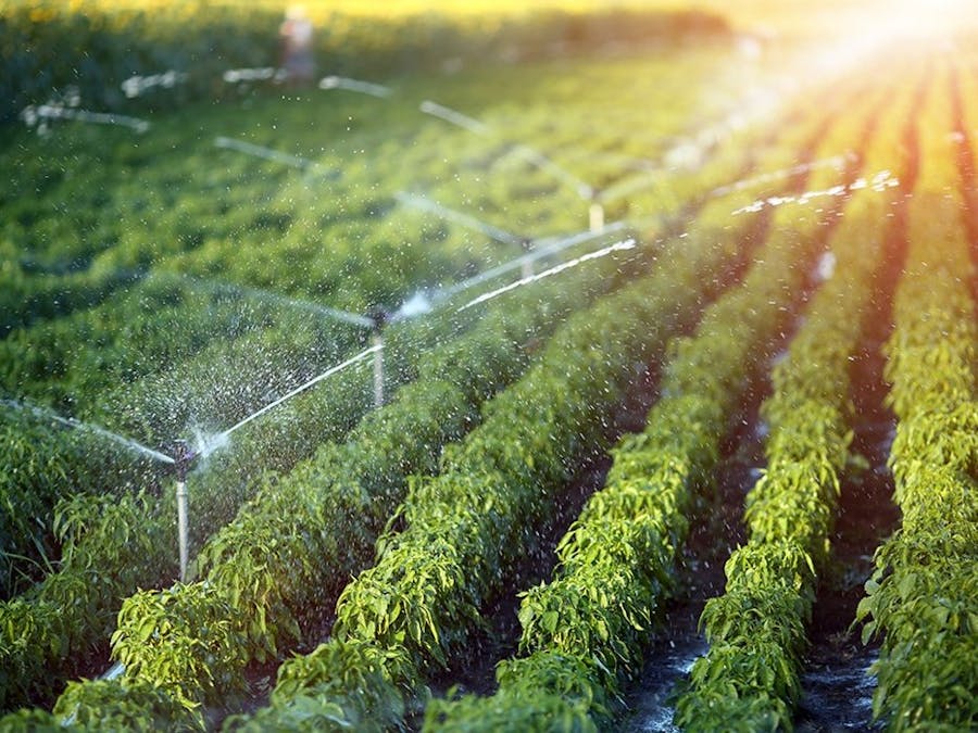 Irrigation