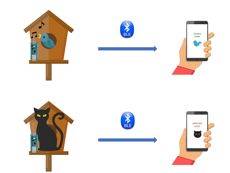 Avis - Smart bird conservation