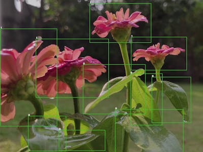 Few-Shot Object Detection with YOLOv5 and Roboflow