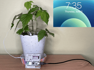 Give a plant a personality using the Raspberry Pi Pico W 🪴