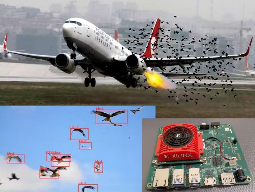 Preventing Bird Strike at Airport with Vision Ai