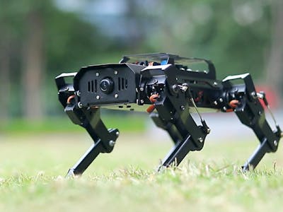 Quadruped Robot Gait Planning and Application