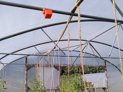 Using AI and IoT to help grow food in remote greenhouses